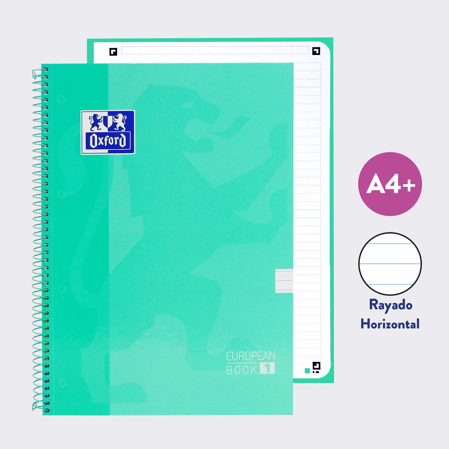 OXFORD CLASSIC EUROPEANBOOK 1 MATERIA RAYADO ICE MINT
