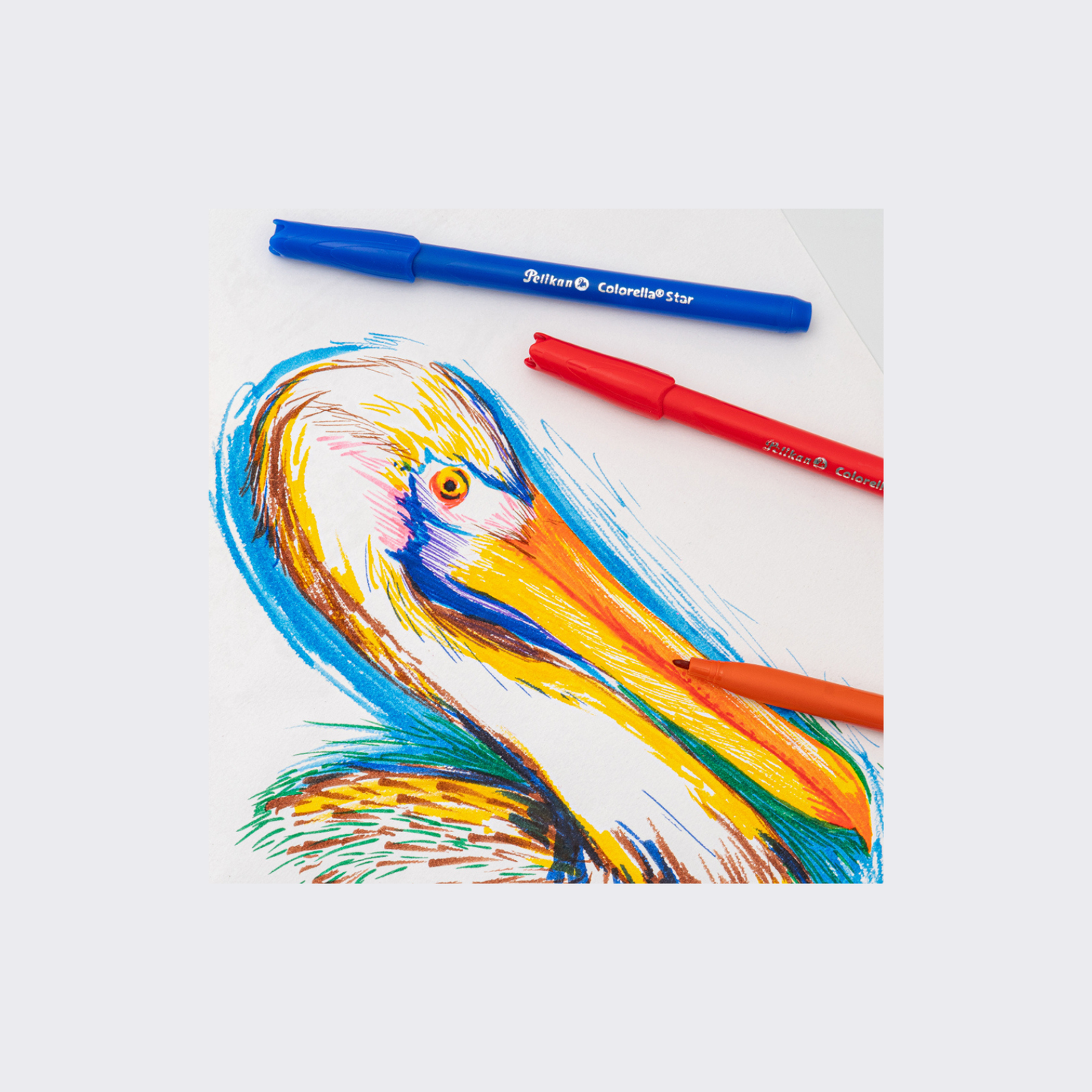 COLORELLA ROJO STAR JR X 12