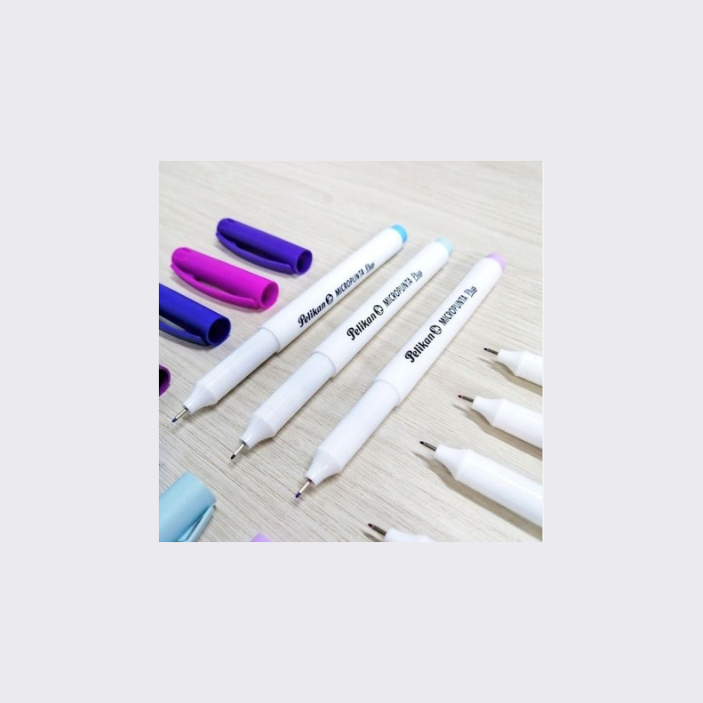 ESTUCHE MICROPUNTA PLUS X 24