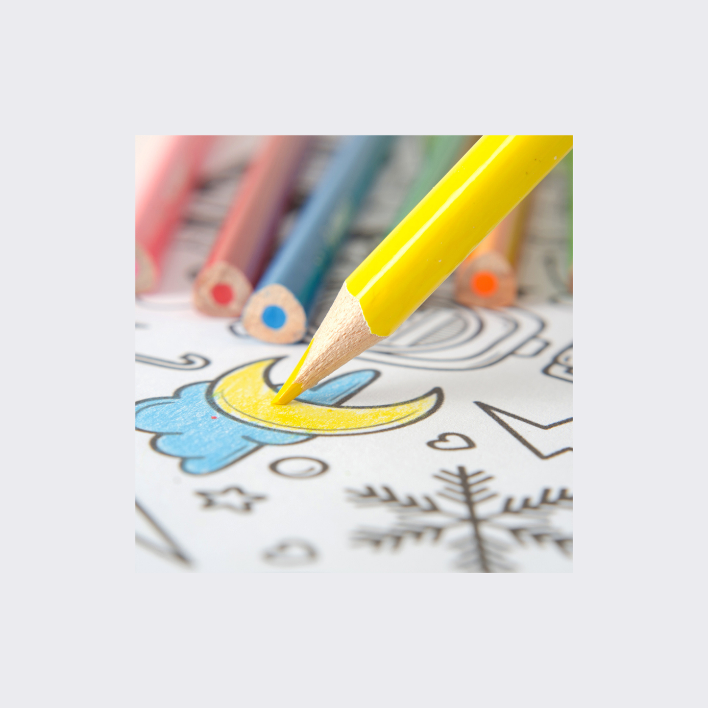 LÁPICES DE COLORES X 24