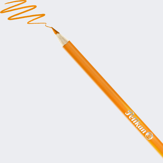 LÁPICES DE COLORES X13