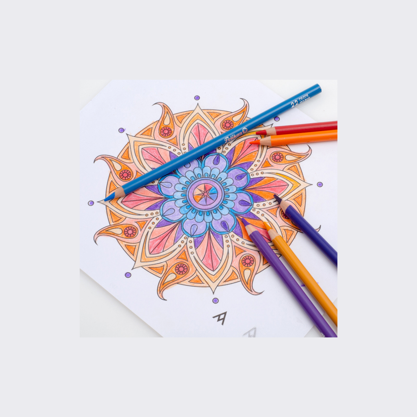 LÁPICES DE COLORES X 24